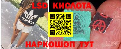 спайс Краснознаменск