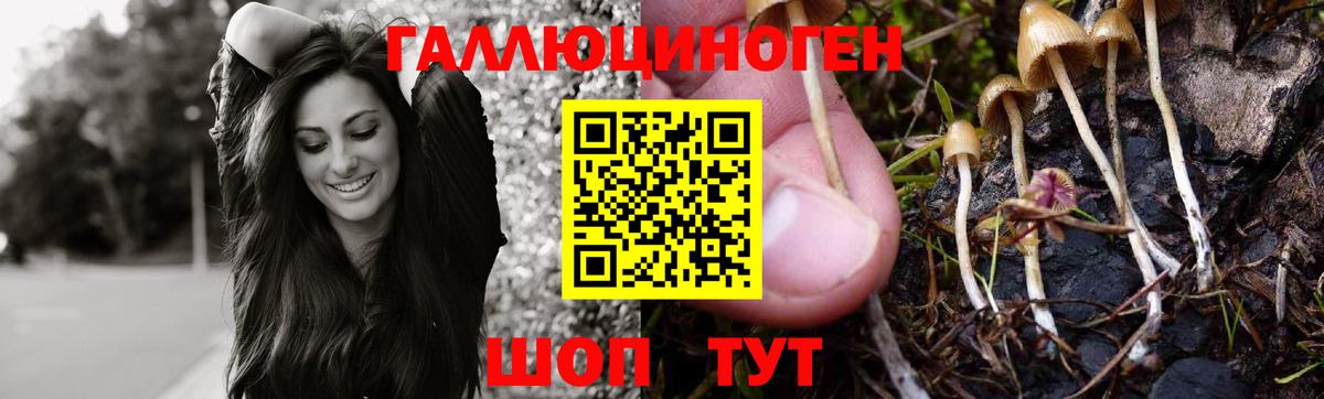 Кимовск  Галлюциногенные грибы Cubensis  Вход с VPN 