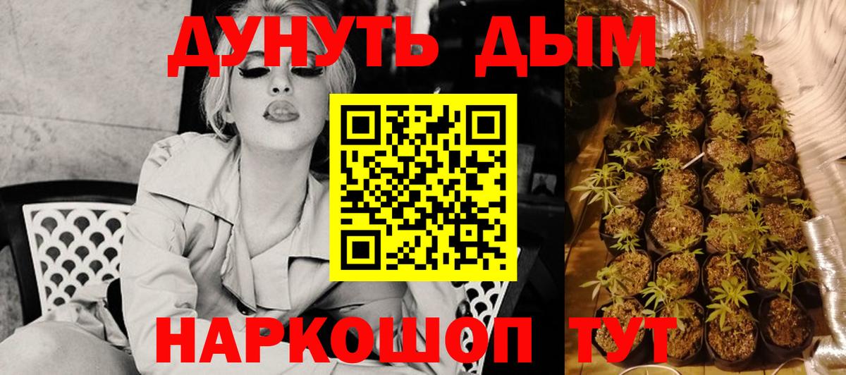 Бошки Шишки Amnesia Кимовск
